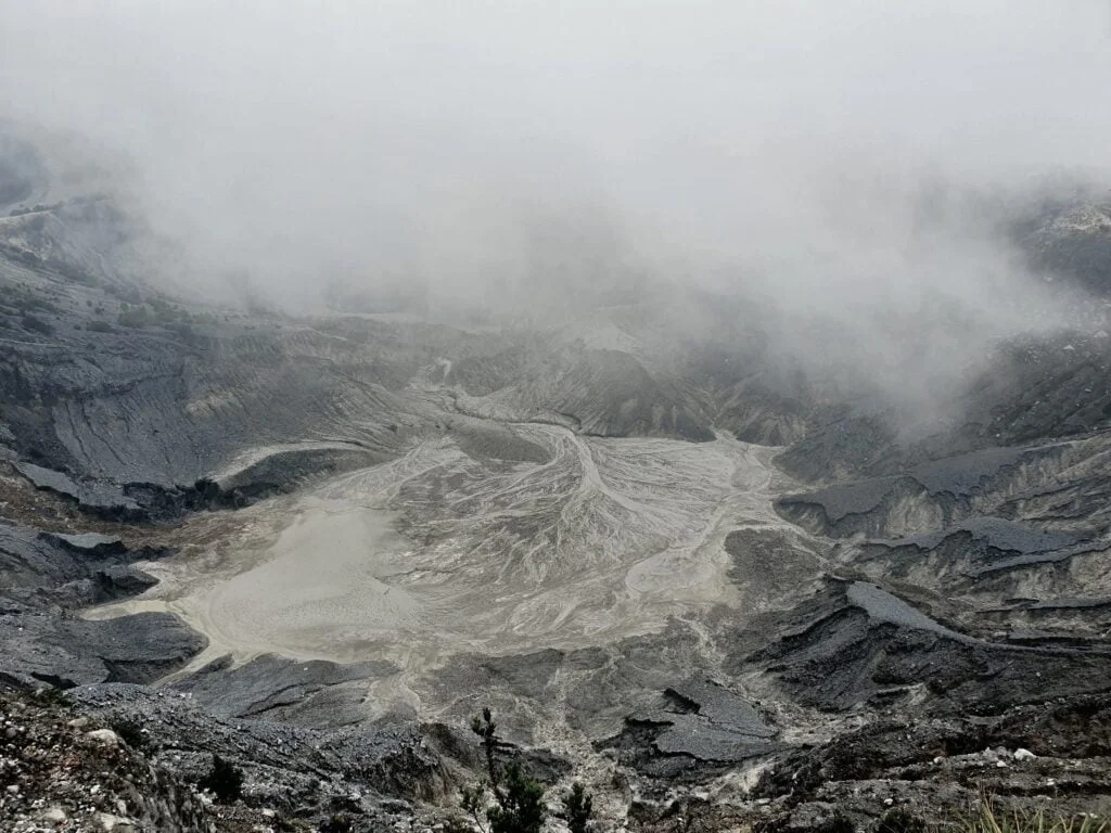 Vulcano archaea